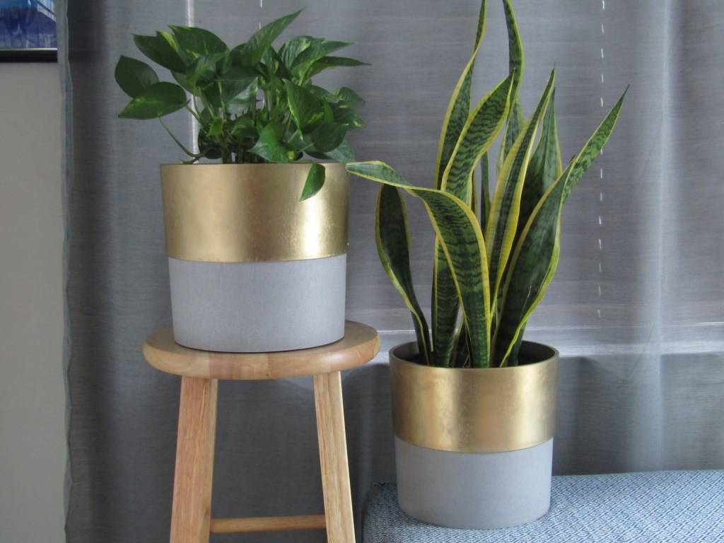 how to make a mid century plant stand. Things you need to know before making a mid century plant stand. DIY Mid century plant stand.